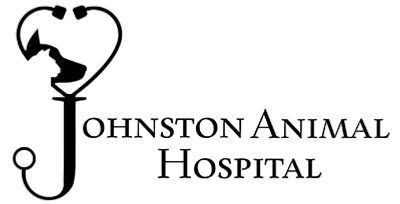 Johnston Animal Hospital